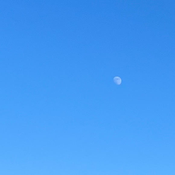 Meet your Posher, Charlene - Picture 1 of 1